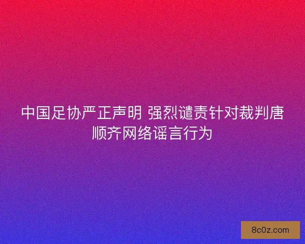 中国足协严正声明 强烈谴责针对裁判唐顺齐网络谣言行为